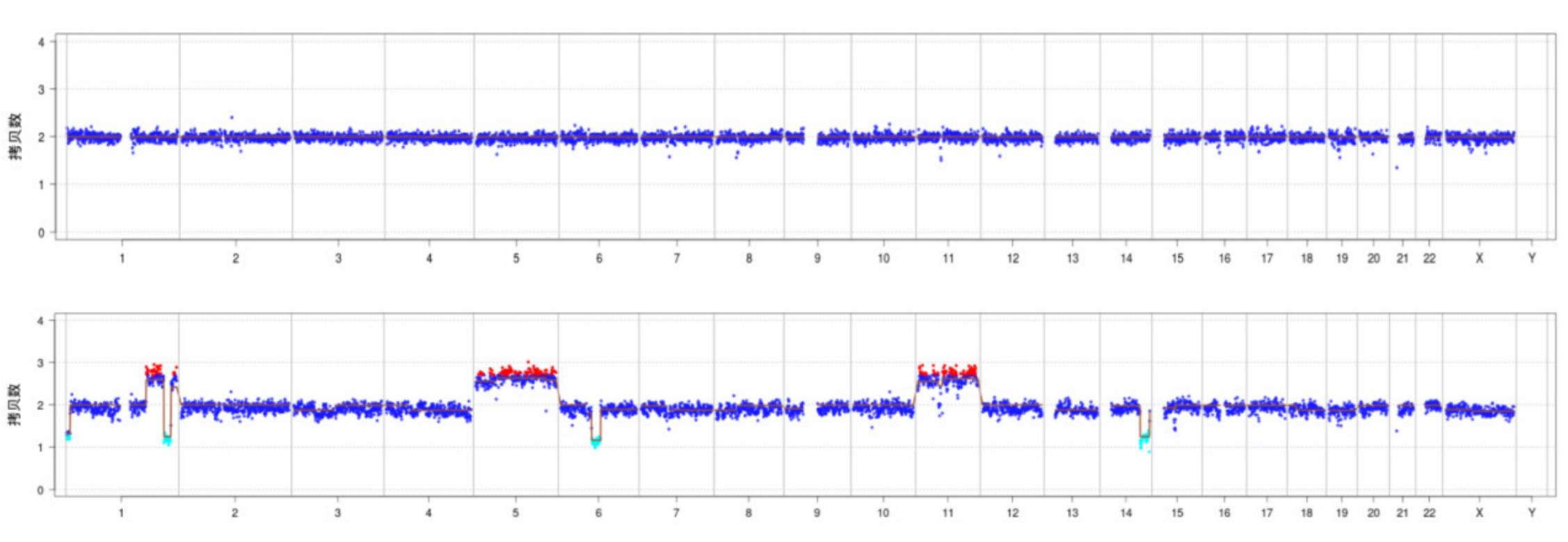 图1 正常人体细胞染色体与眼内肿瘤细胞突变染色体对比示意图 Figure 1 Schematic diagram comparing normal human cell chromosomes and mutated chromosomes in intraocular tumor cells.