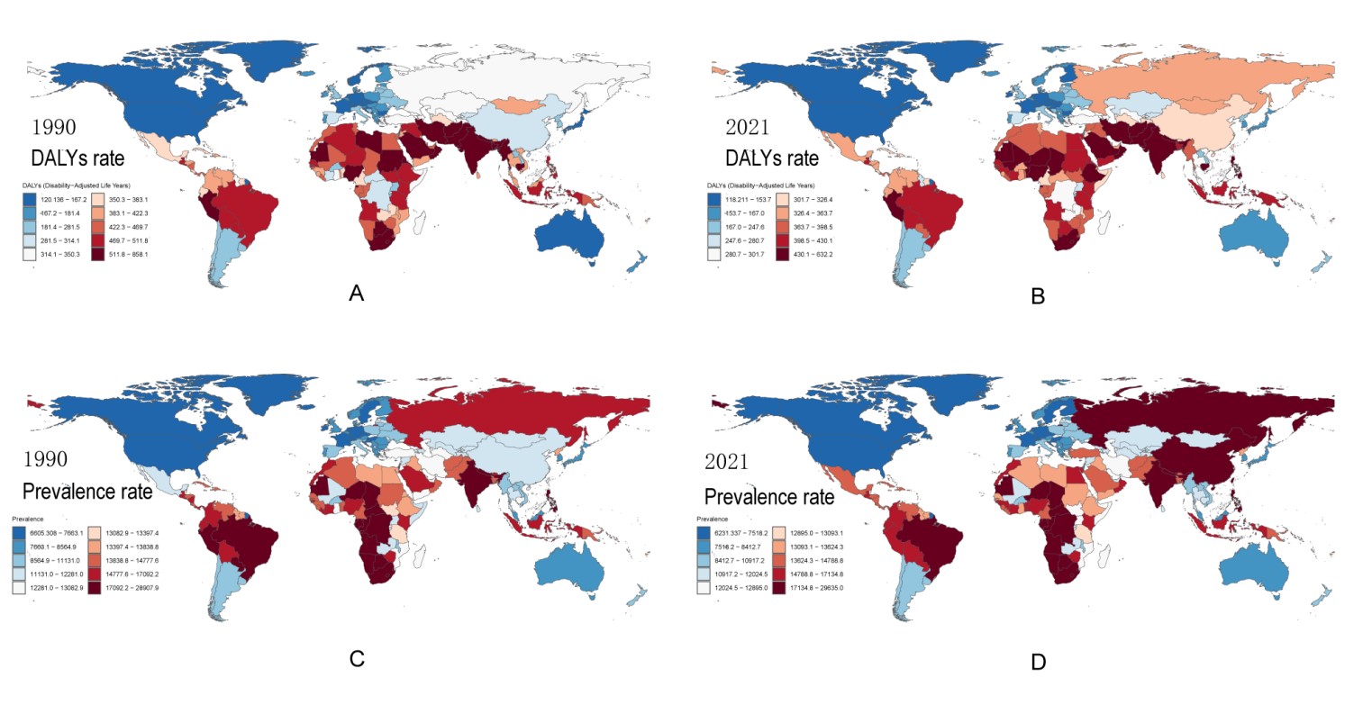 Figure 1 Maps about age-standardized DALYs rates and age-standardized prevalence rates for BVI in 1990 and 2021