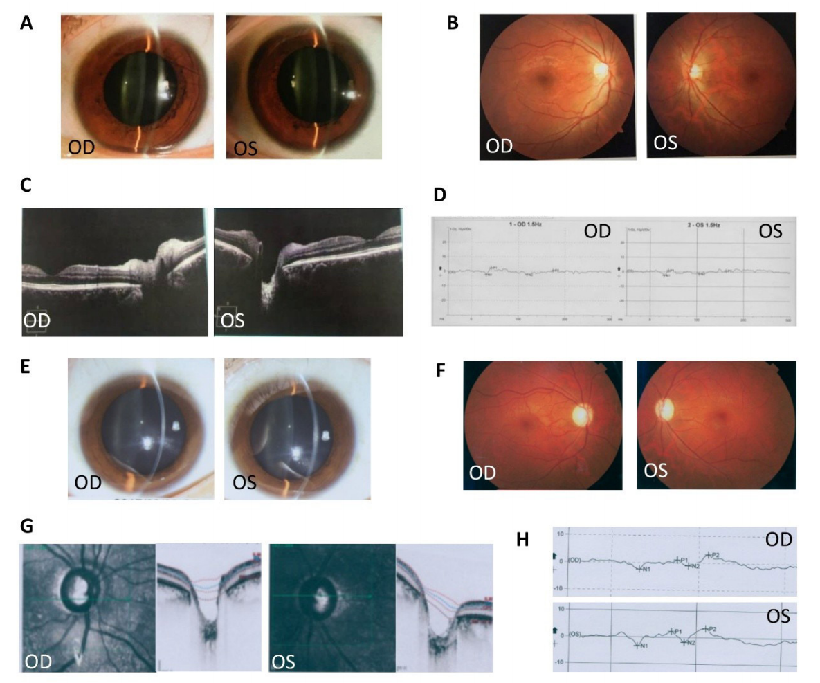 图 2 病例2图像 Figure 2 Images of case 2