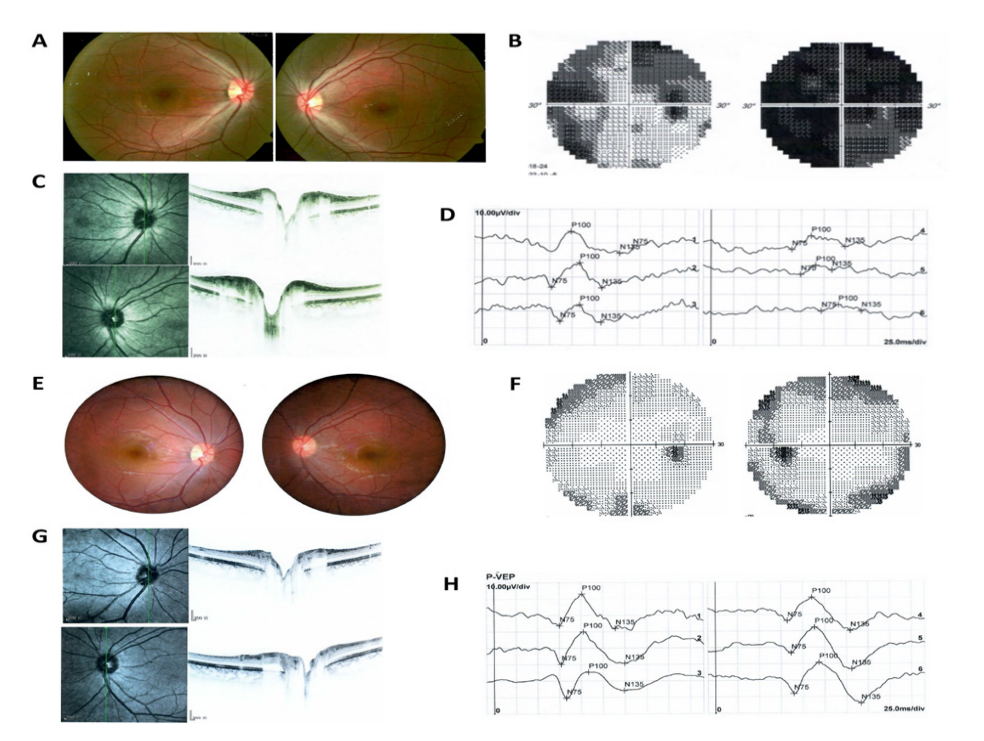 图 3 病例3图像 Figure 3 Images of case 3